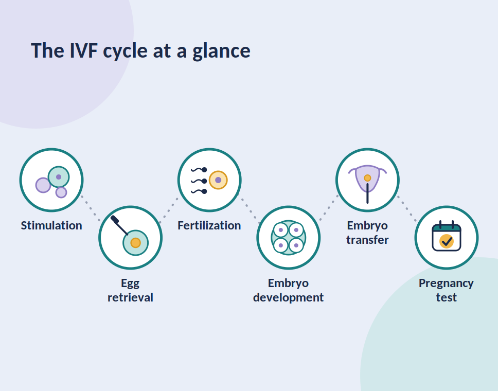 Age and IVF: What the Research Says